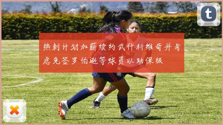 热刺计划加薪续约武什科维奇并考虑免签罗伯逊等球员以助保级